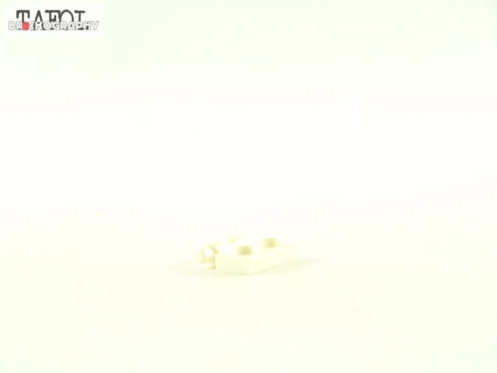 100_4420.jpg