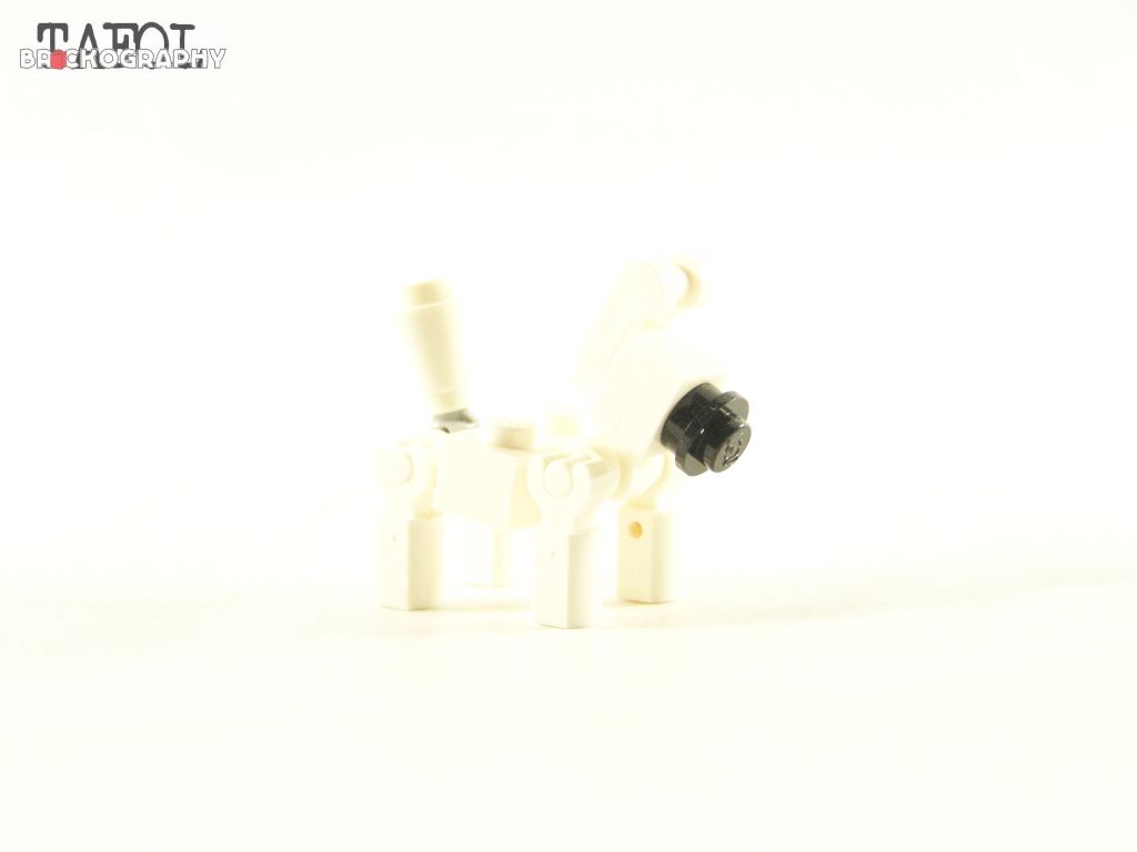 100_4423.jpg