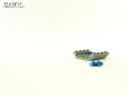 100_4517.jpg
