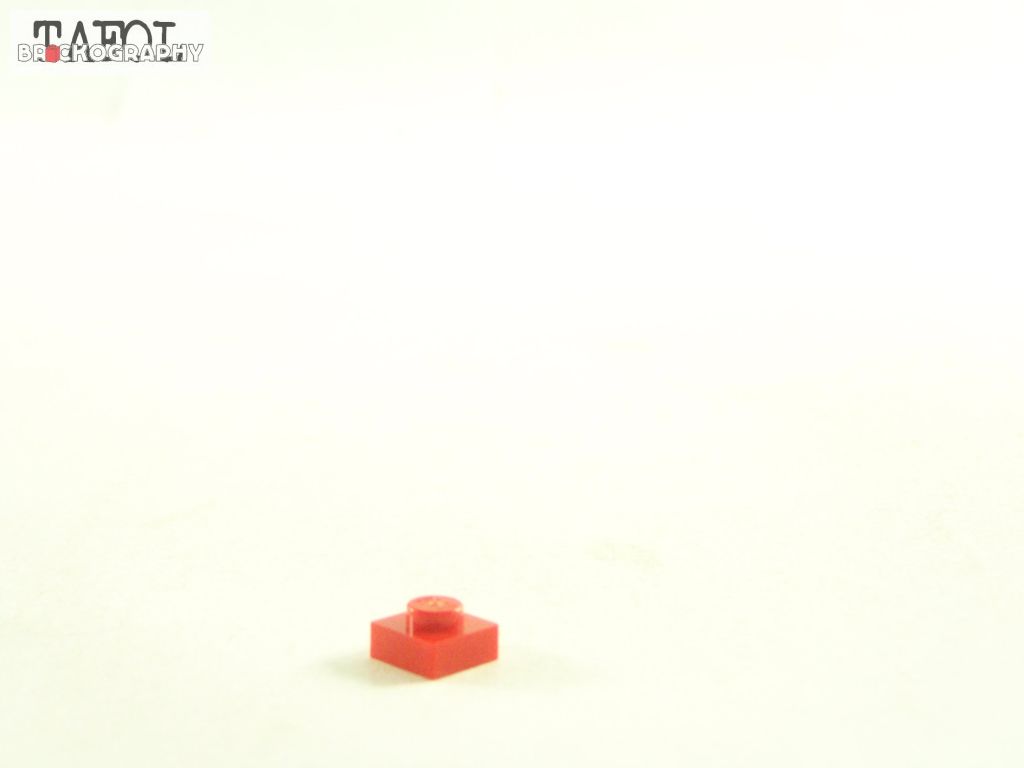 100_8603.jpg