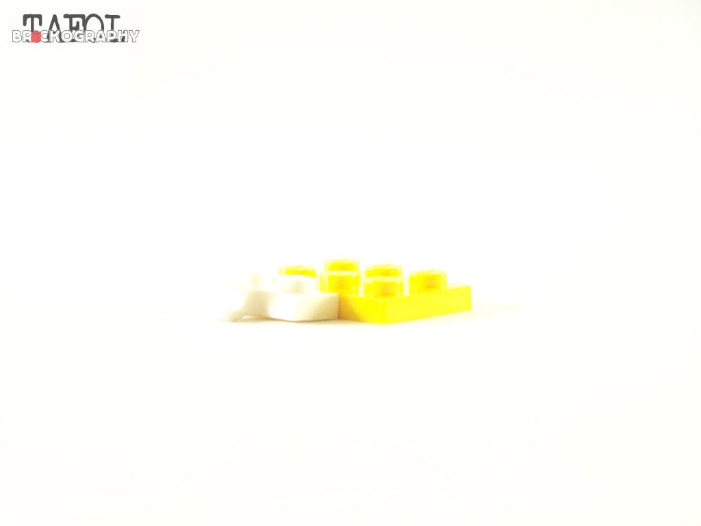 100_2887.jpg