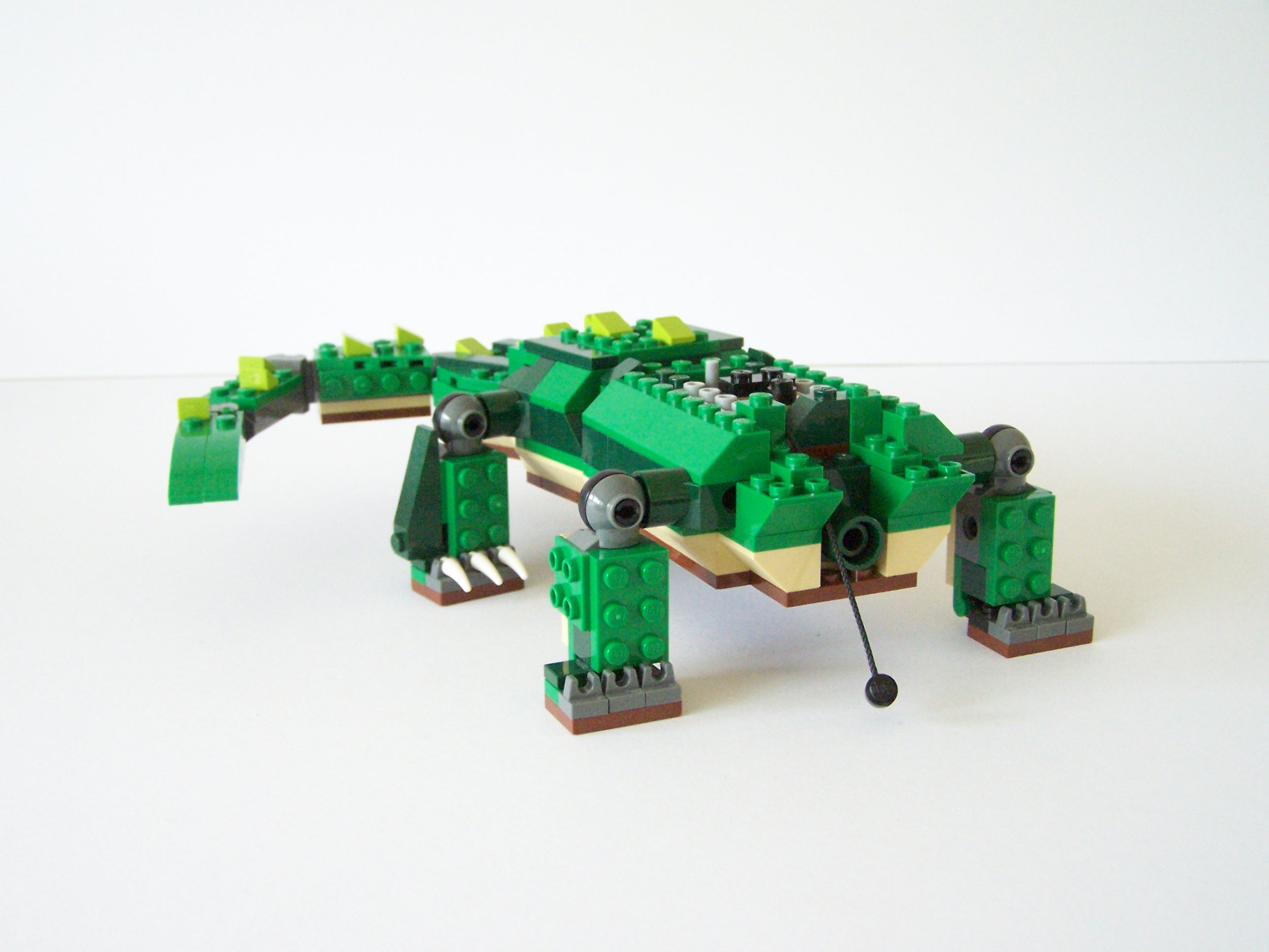 100_3050.jpg