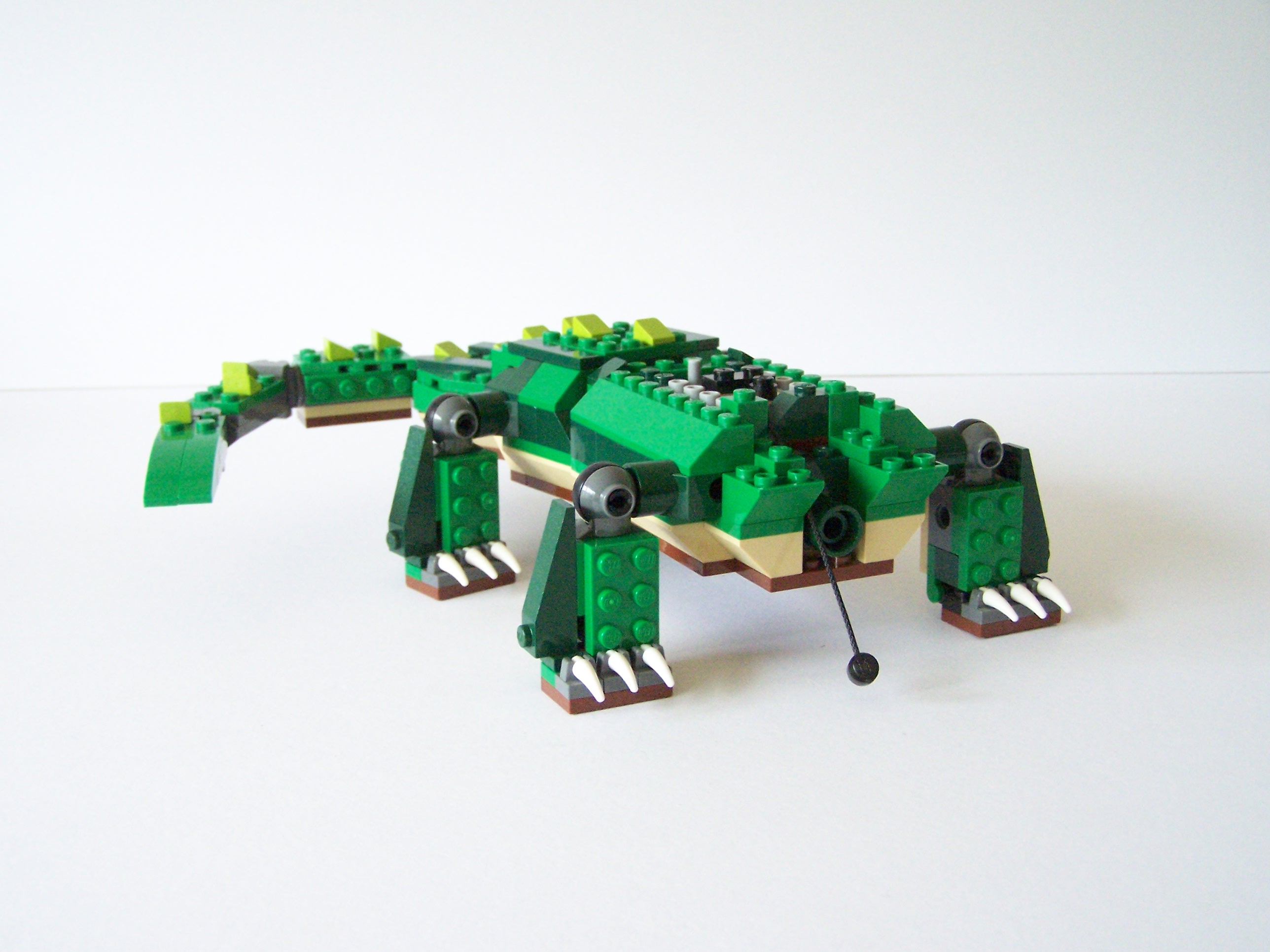 100_3051.jpg