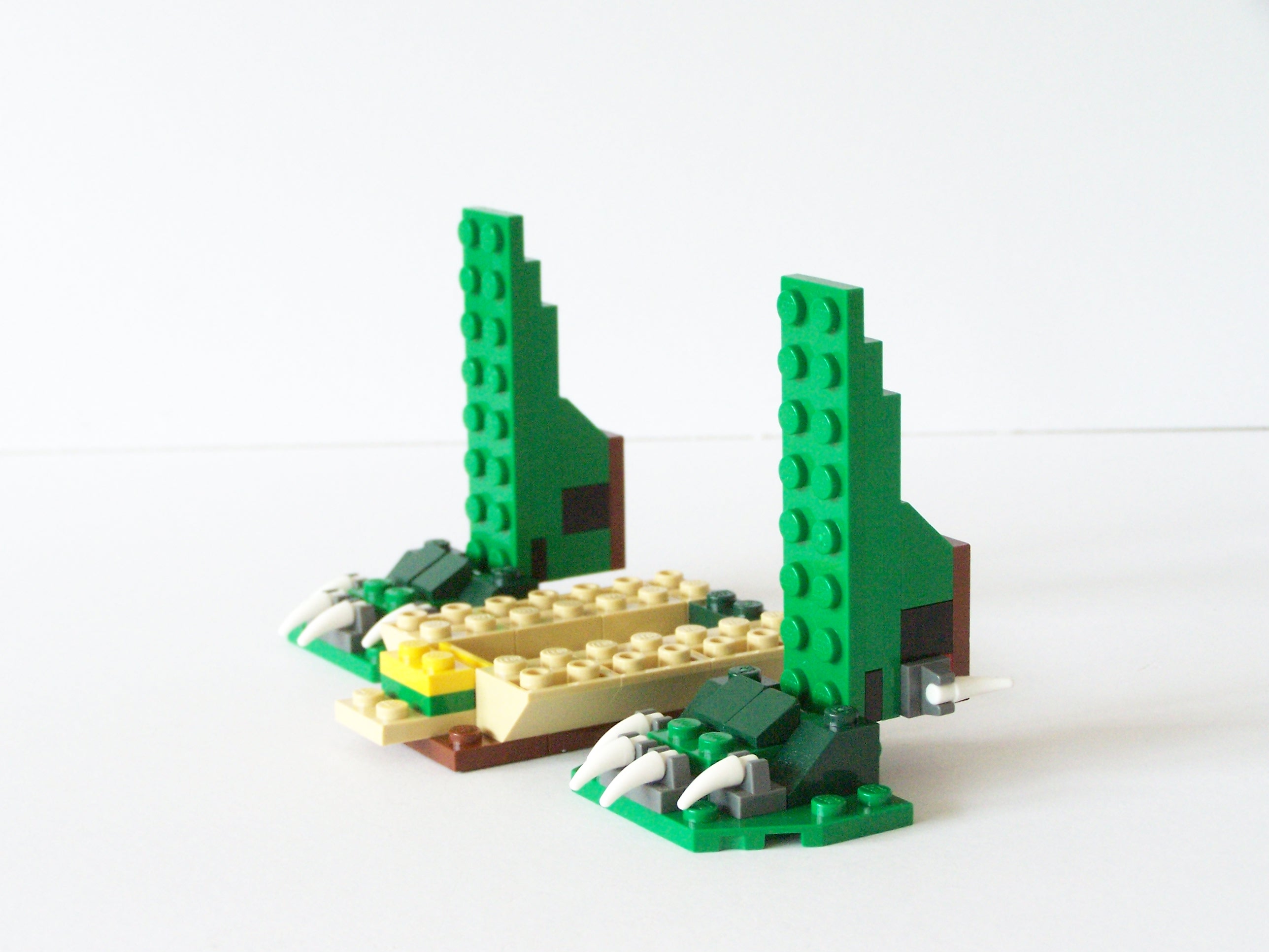 100_3100.jpg
