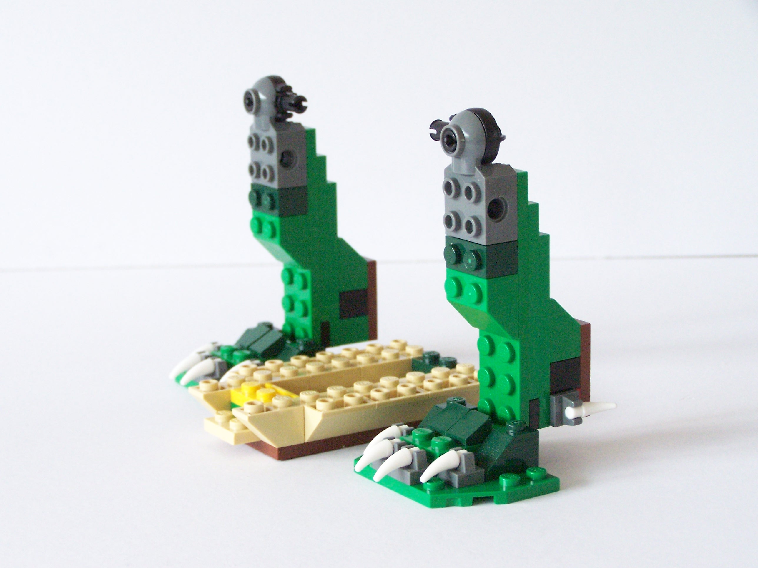 100_3101.jpg