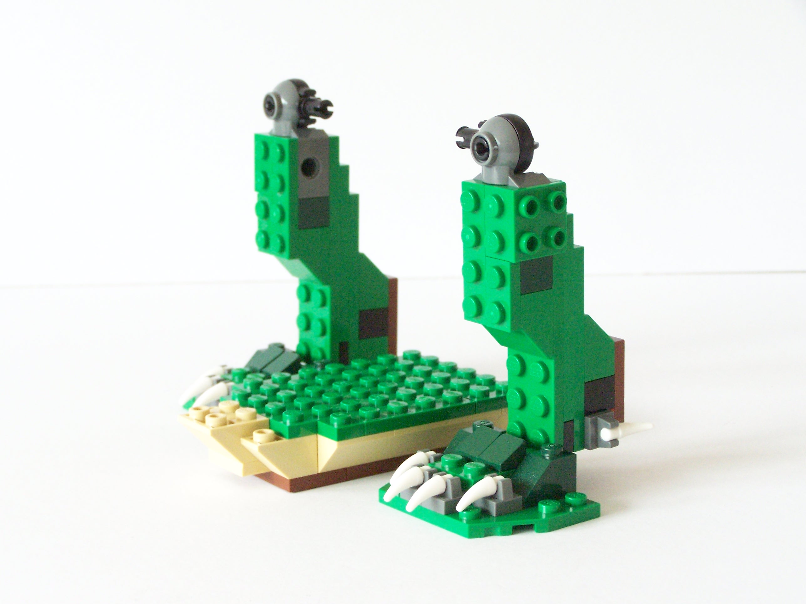 100_3106.jpg