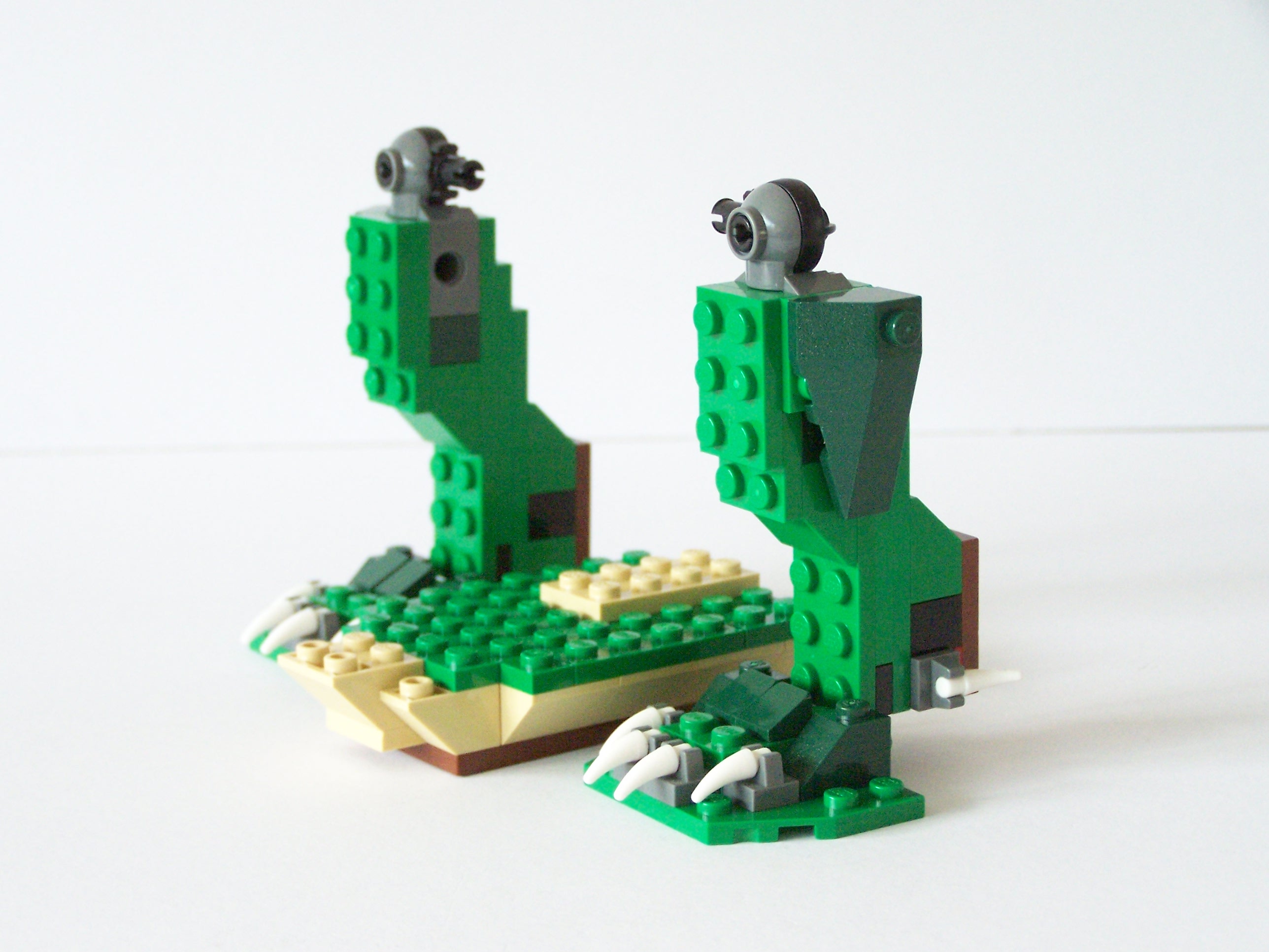 100_3107.jpg