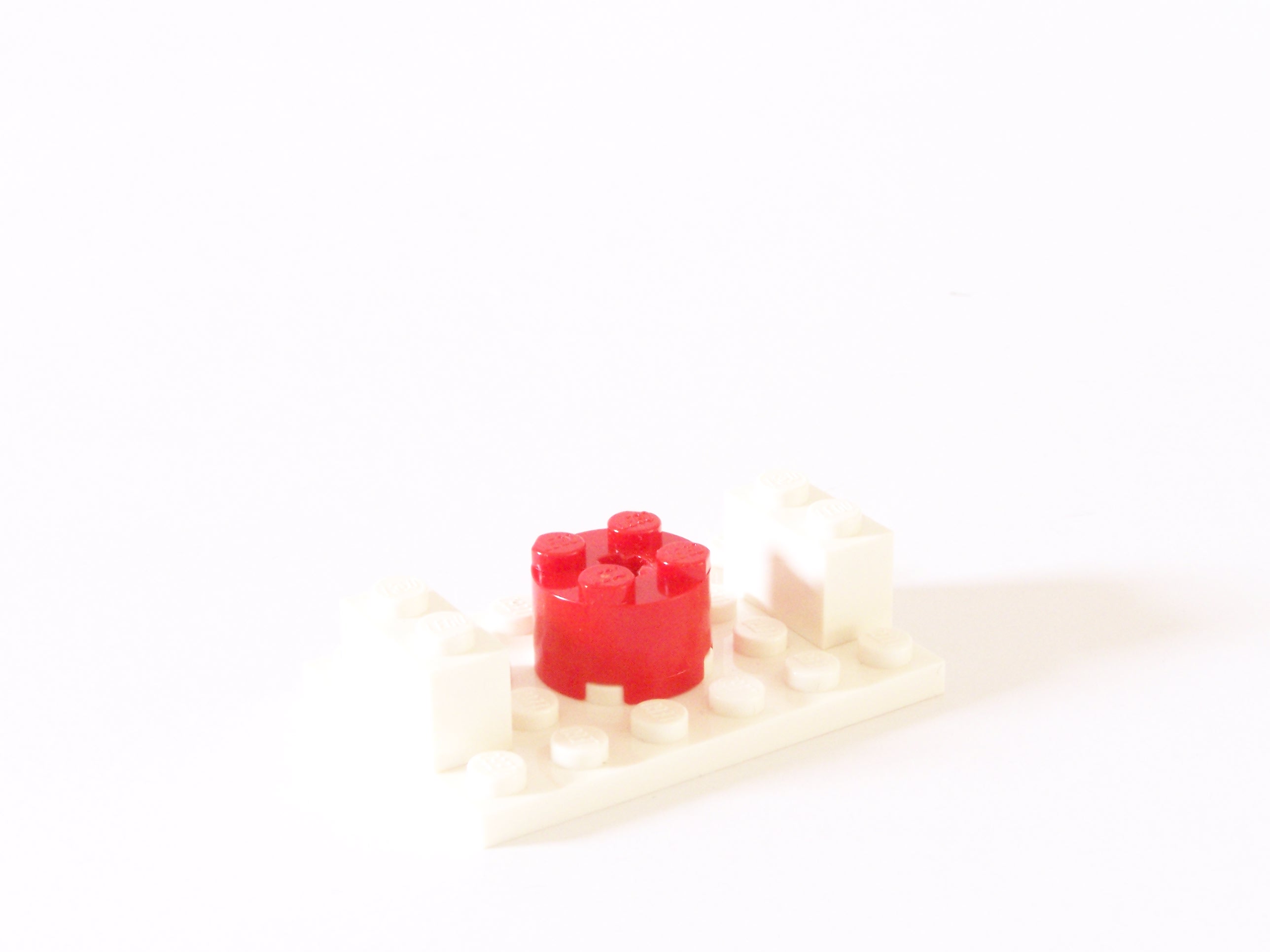 100_6411.jpg