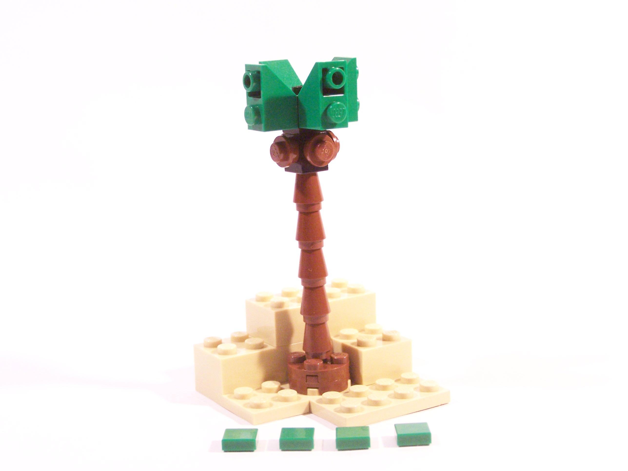 100_7281.jpg