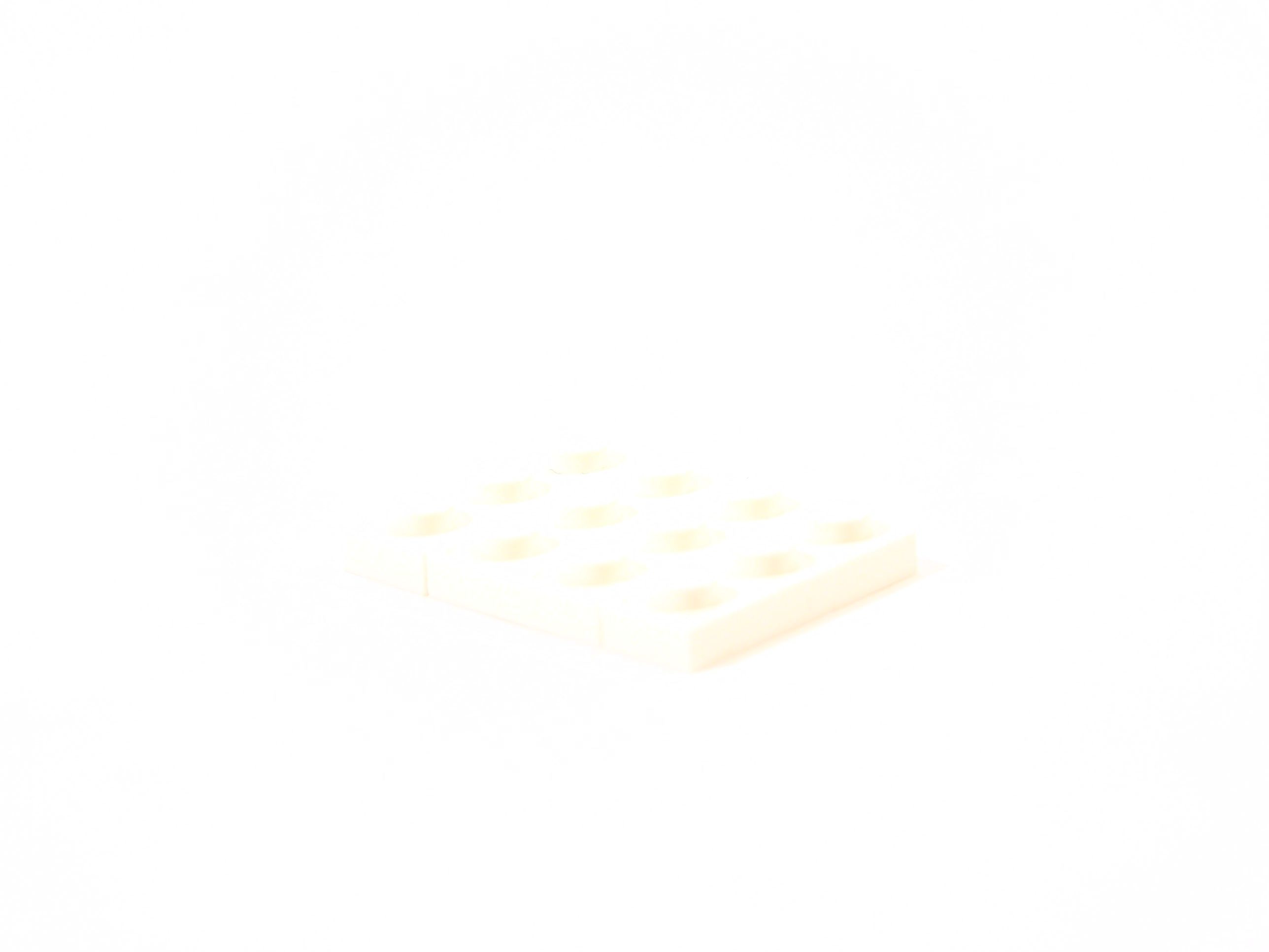 100_8834.jpg