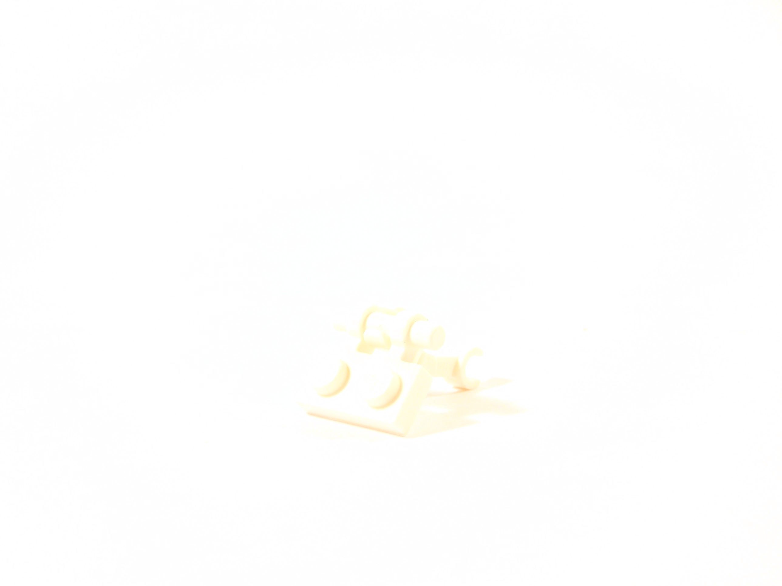 100_0304.jpg