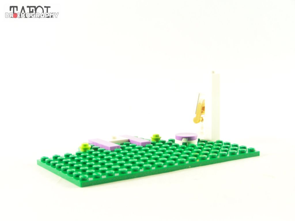 100_4906.jpg