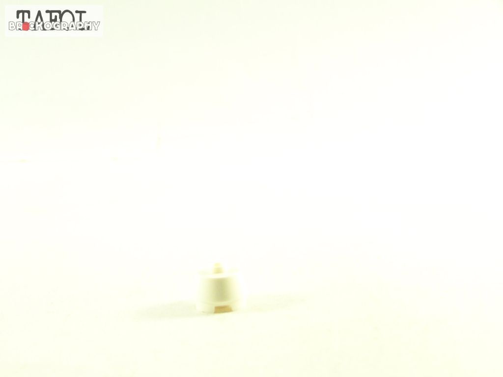 100_3419.jpg