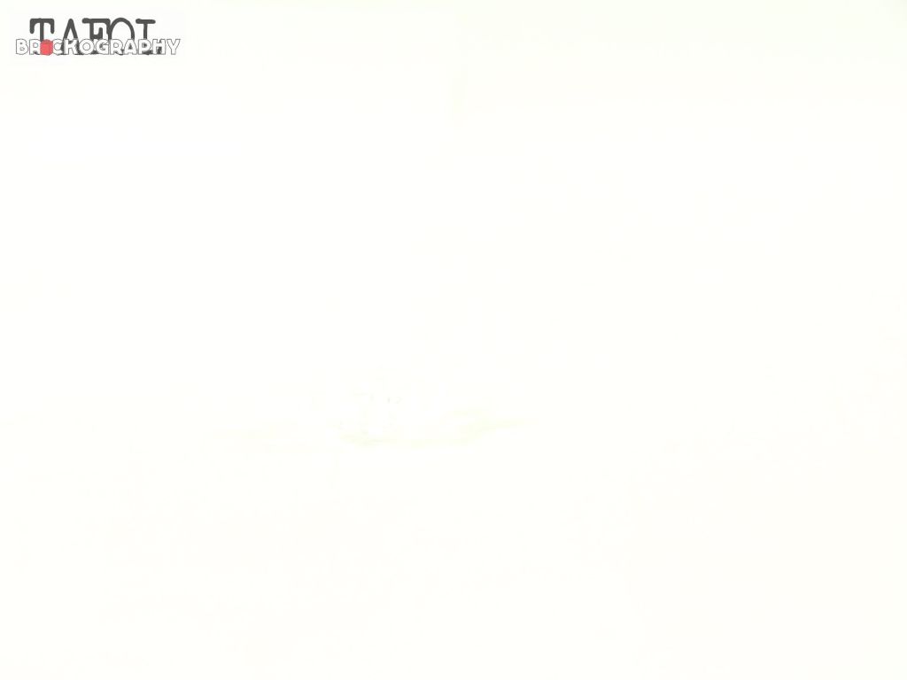 100_6682.jpg