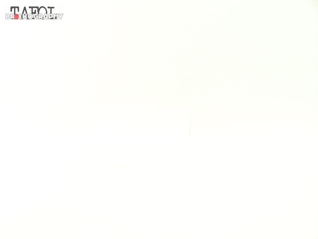 100_6687.jpg