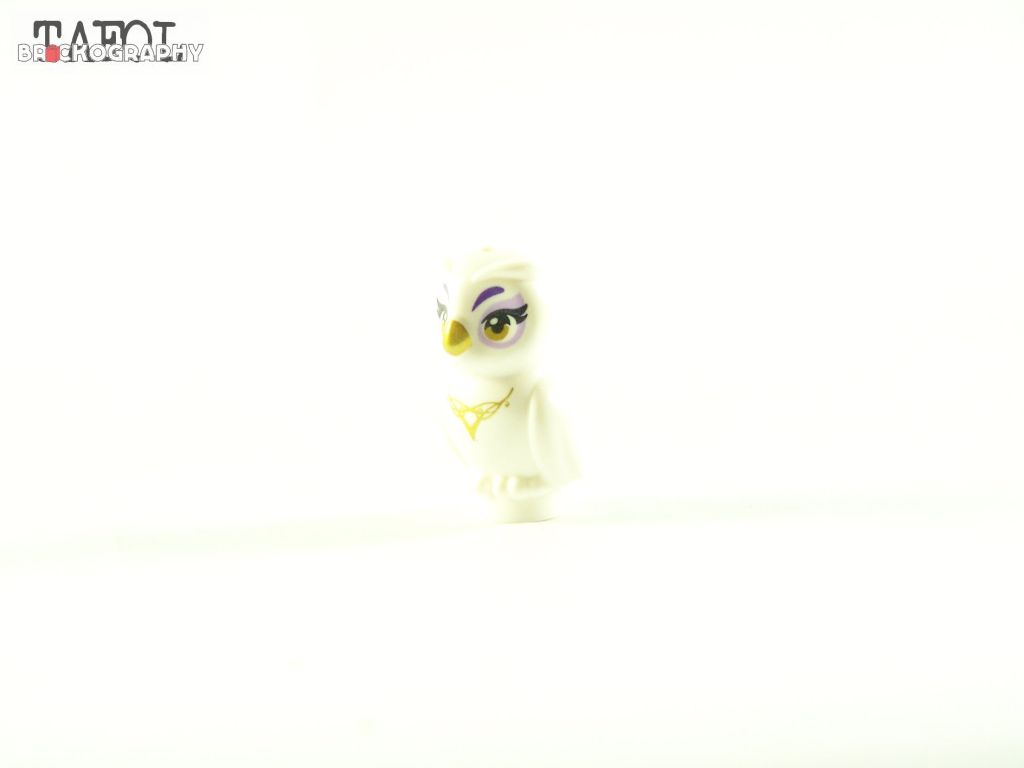 100_5482.jpg