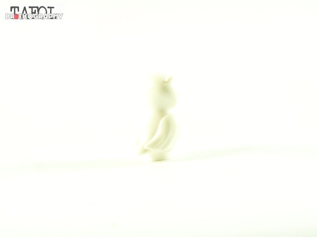 100_5483.jpg