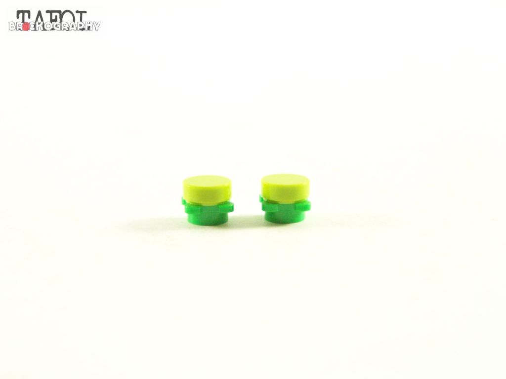 100_4675.jpg