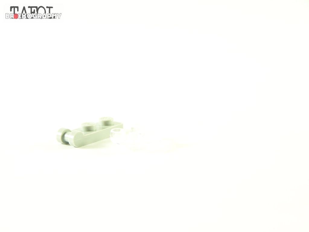 100_9645.jpg