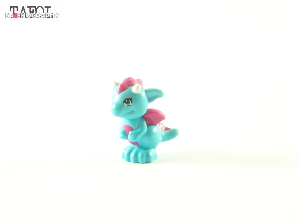 100_9674.jpg