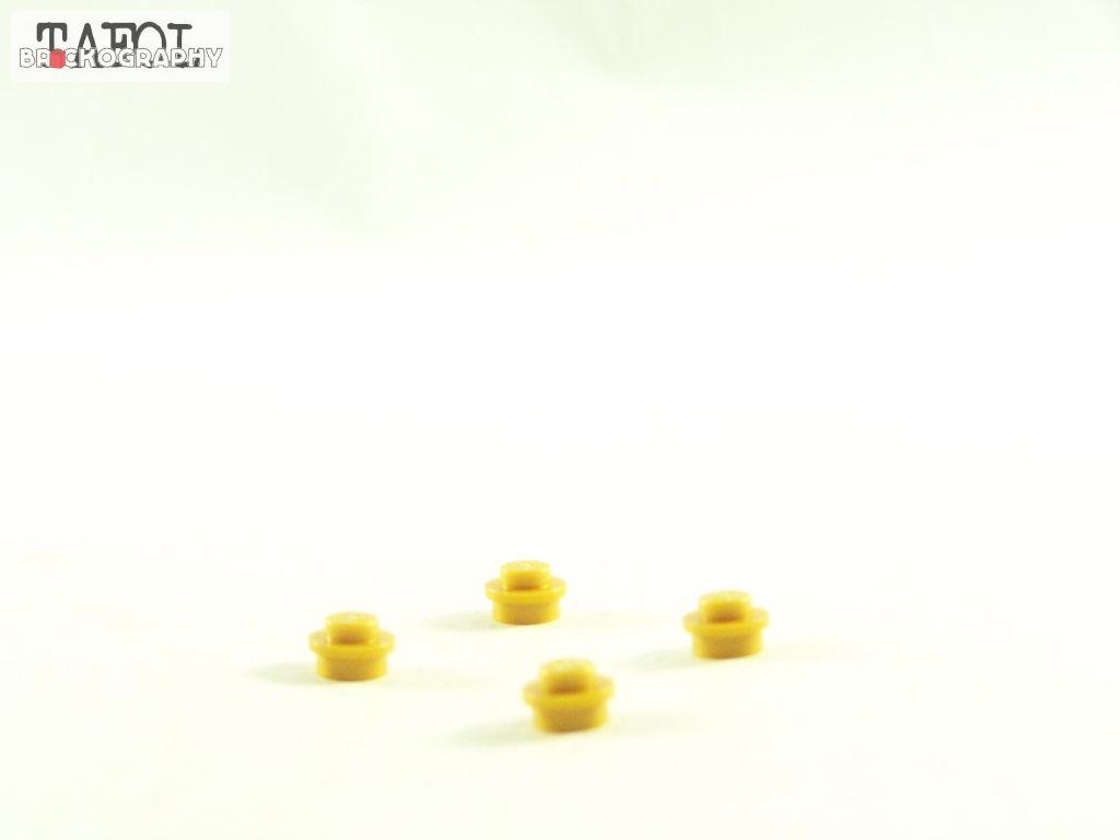 100_4912.jpg