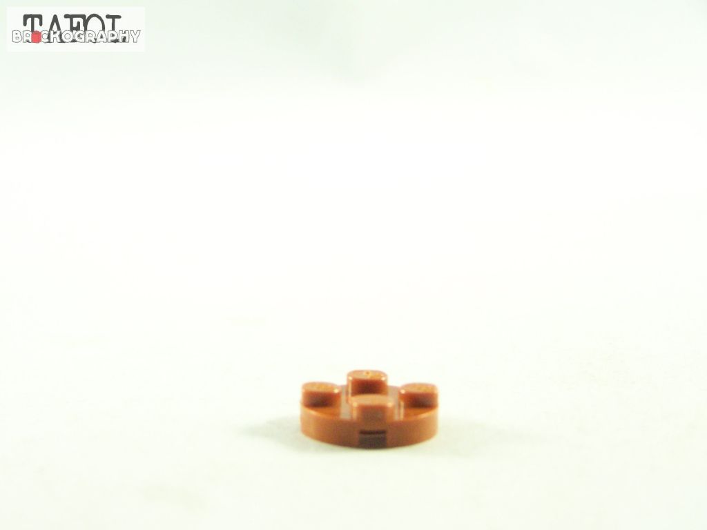 100_4943.jpg