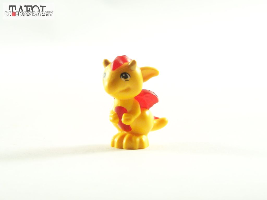 100_5012.jpg