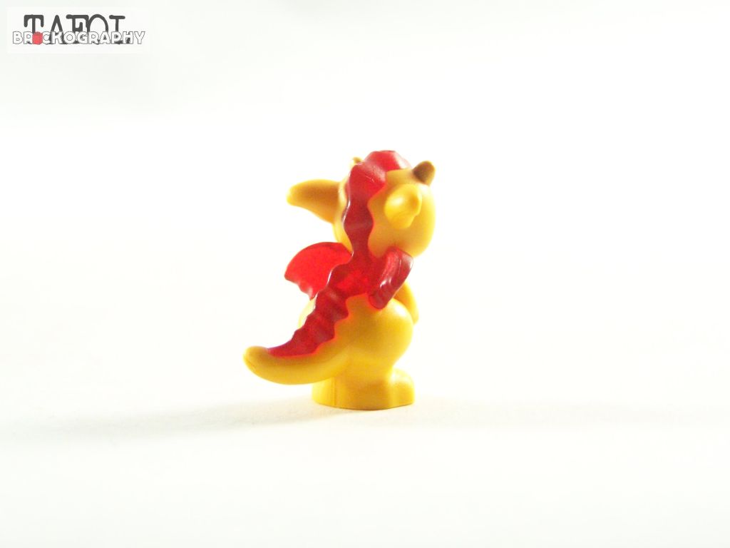100_5013.jpg