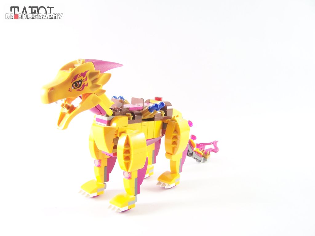 100_9339.jpg