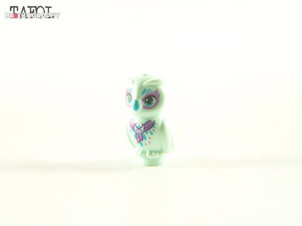 100_0760.jpg