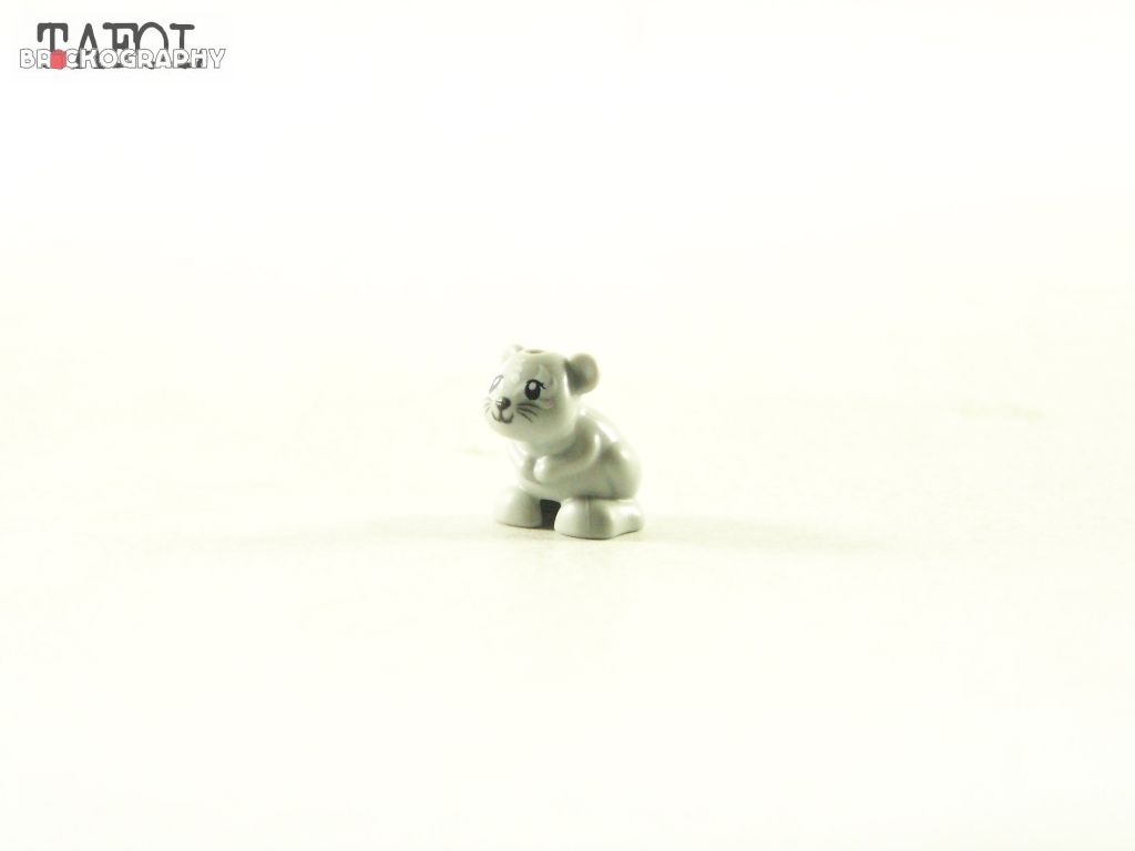 100_5303.jpg