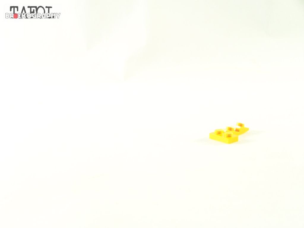 100_2958.jpg