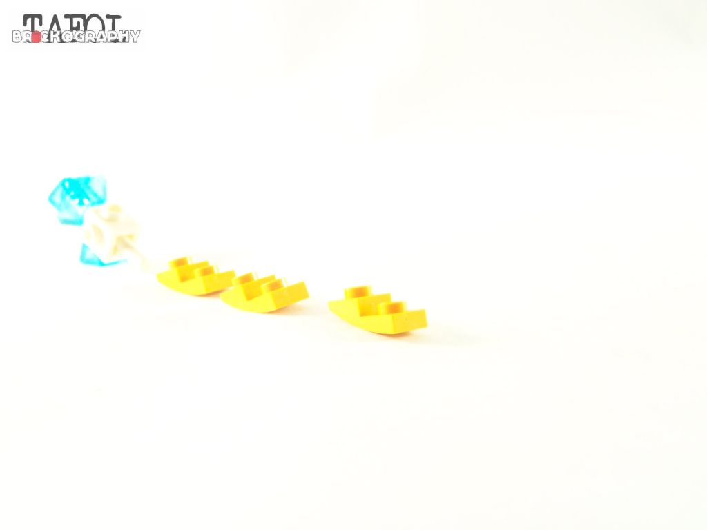 100_3003.jpg