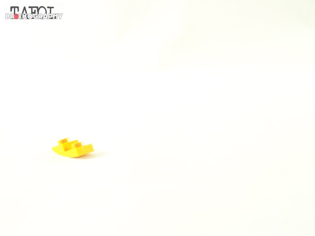 100_3010.jpg