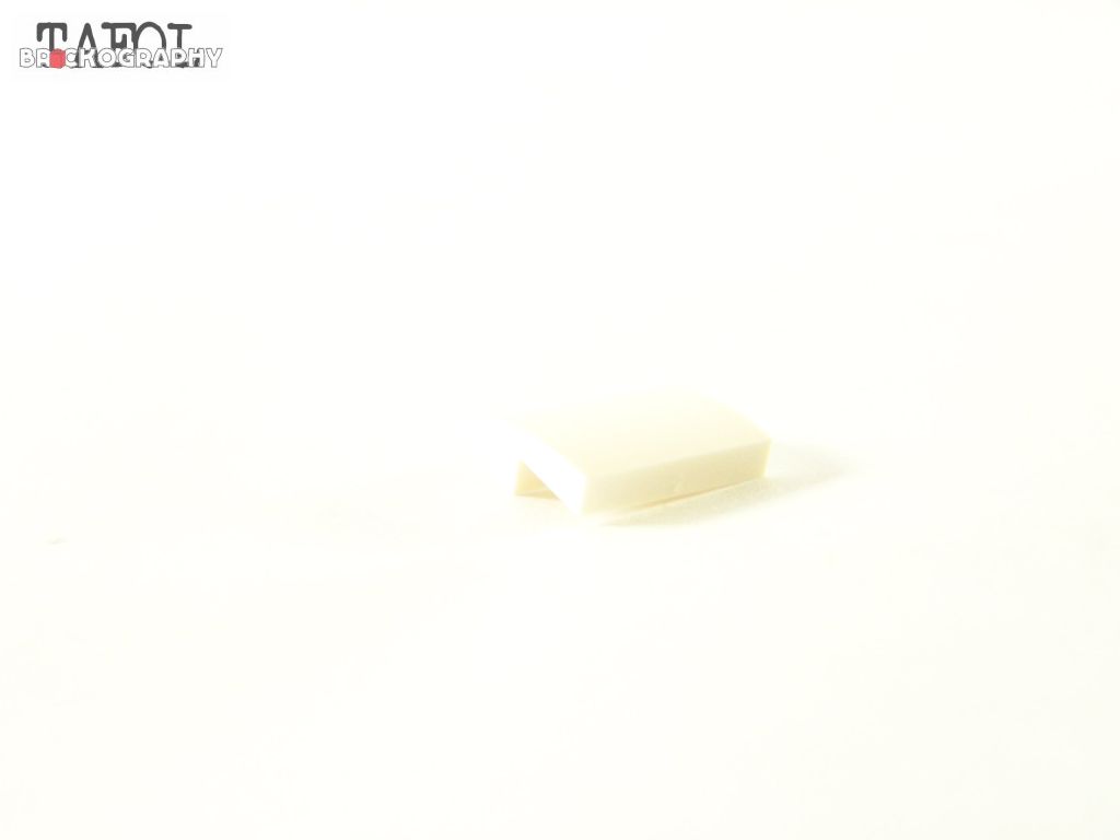 100_3032.jpg