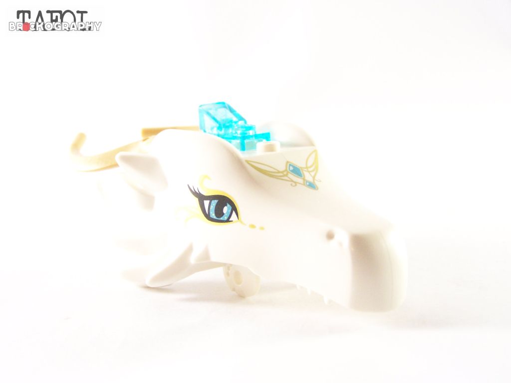 100_3041.jpg