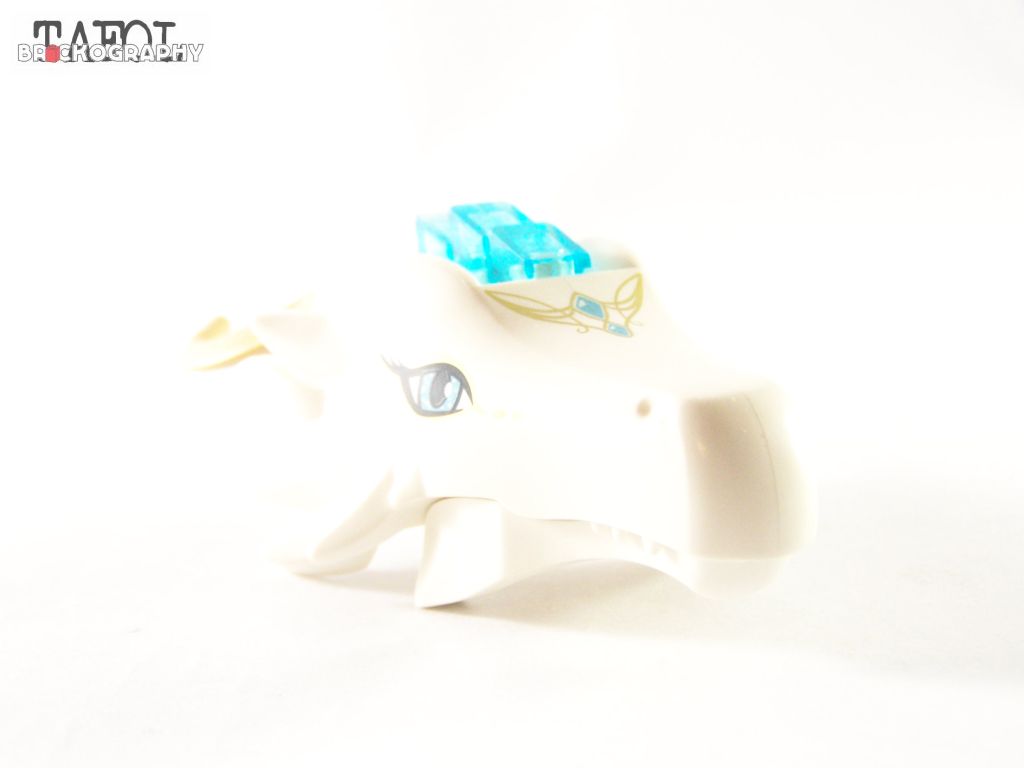 100_3042.jpg