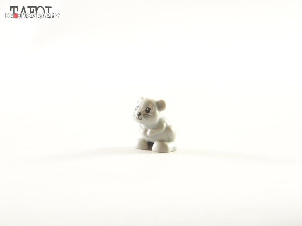 100_3131.jpg