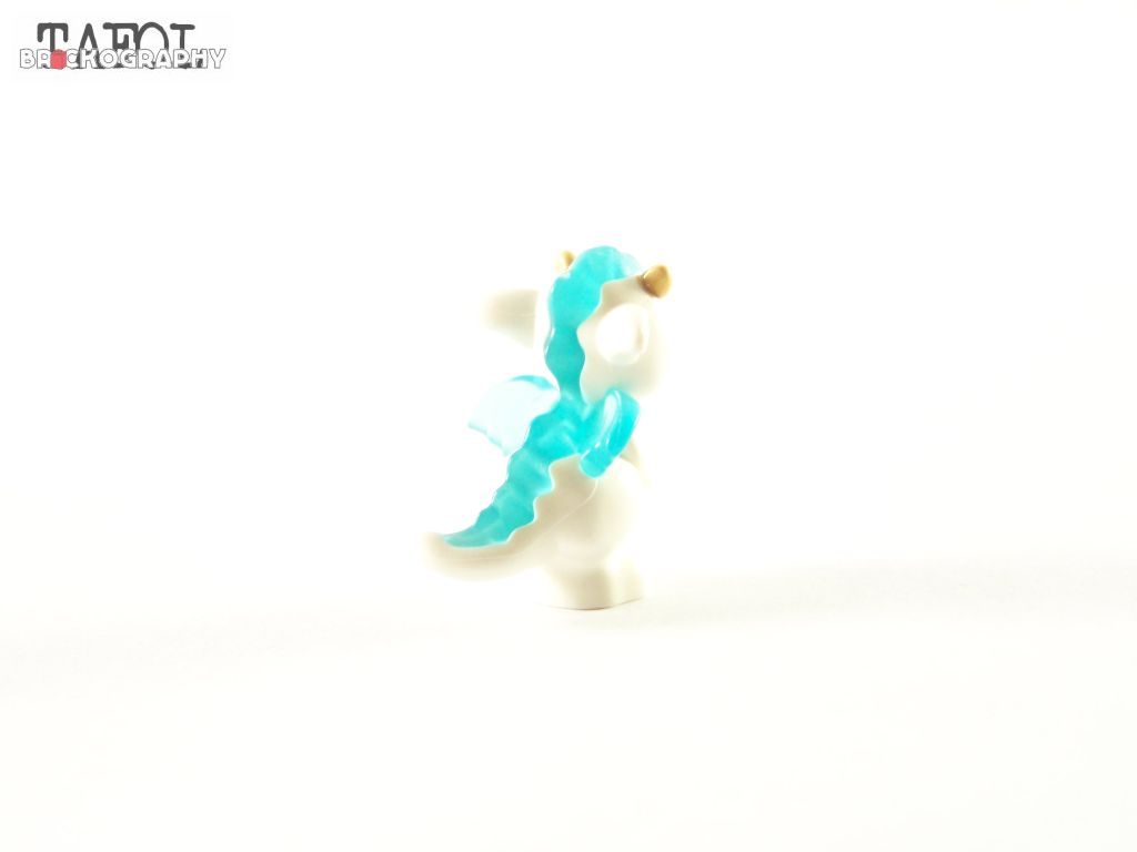 100_1462.jpg