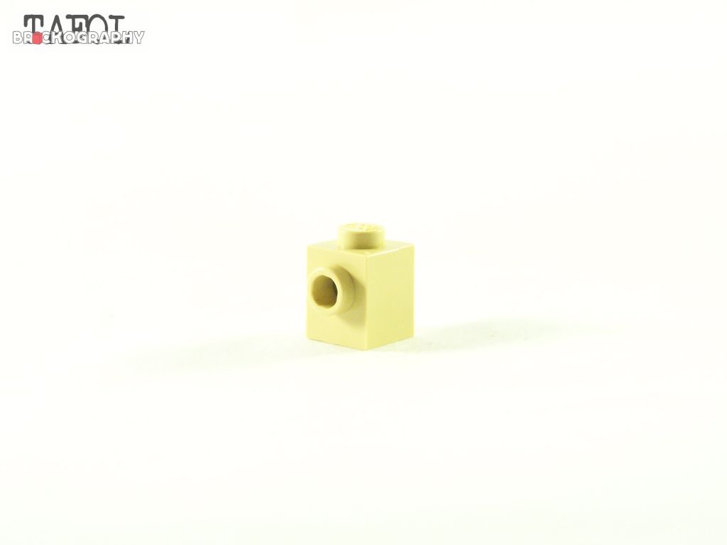 100_7551.jpg