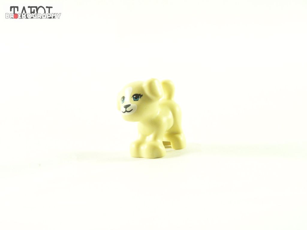 100_7572.jpg