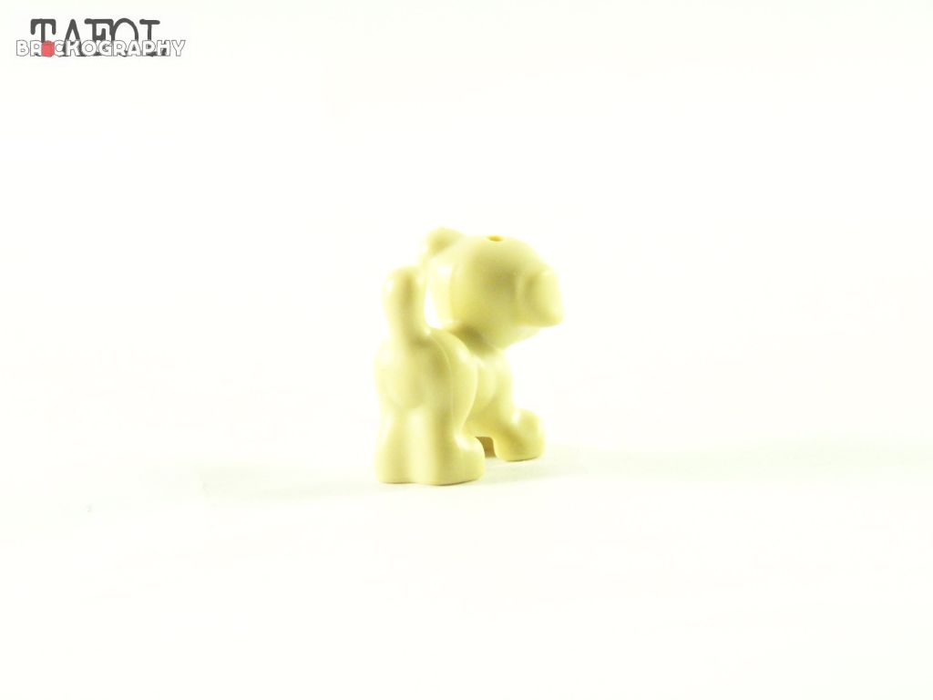 100_7573.jpg