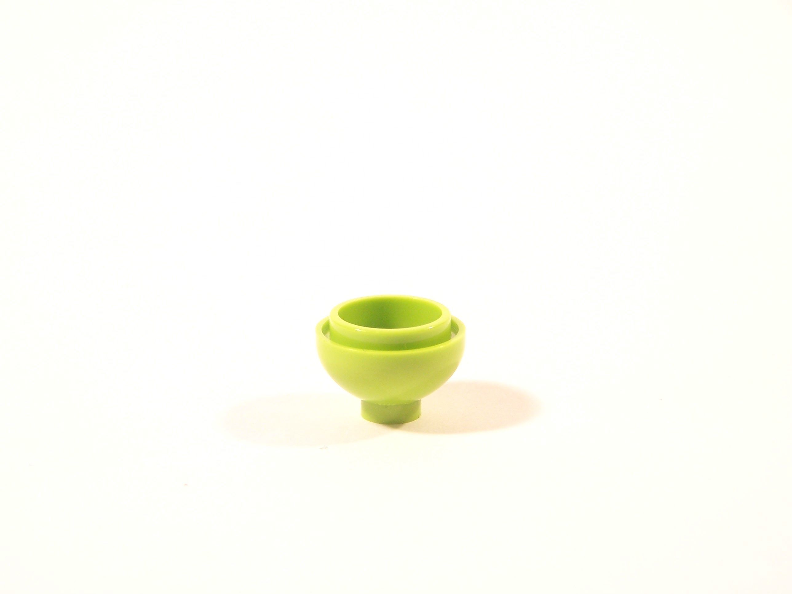 100_9254.jpg