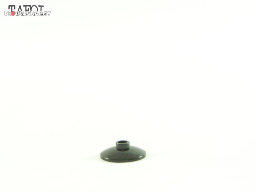 100_9231.jpg