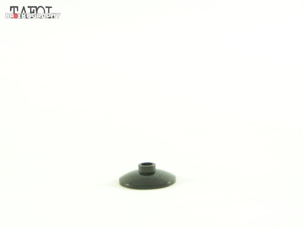 100_9234.jpg