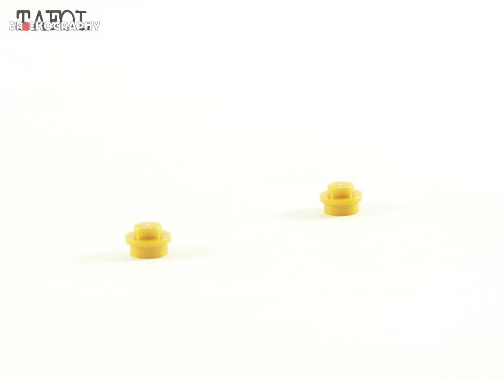 100_9247.jpg