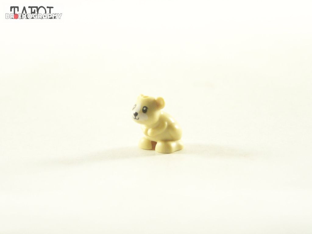 100_2520.jpg