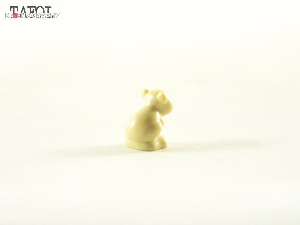 100_2521.jpg