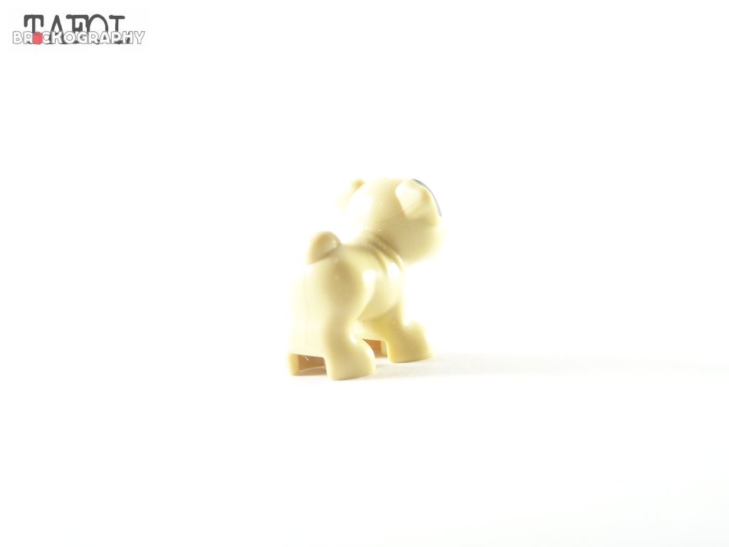 100_2063.jpg