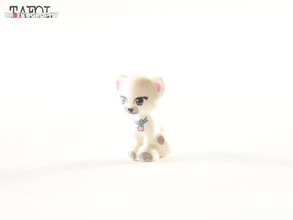 100_3334.jpg